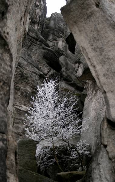 national park Adrschbach