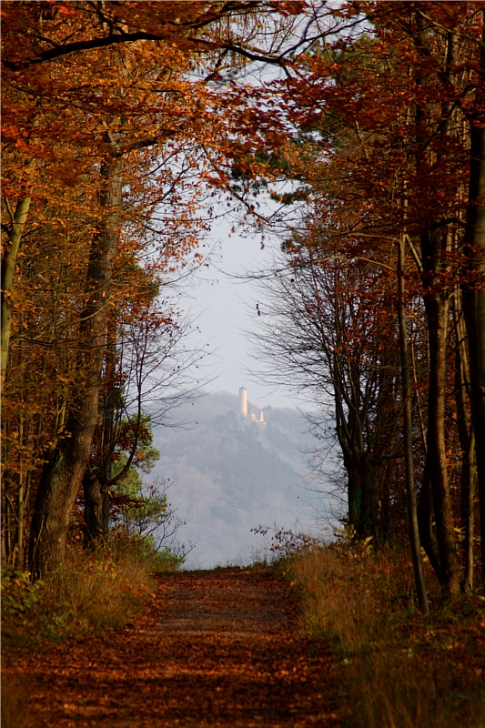 View to Fuchsturm