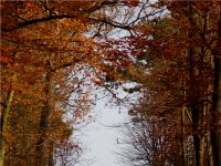 View to Fuchsturm